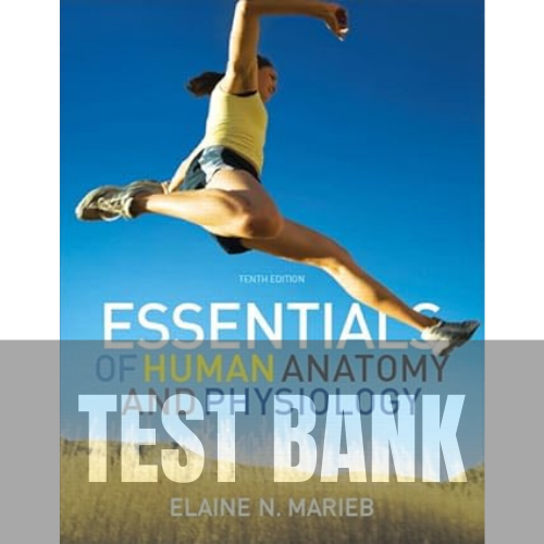 Essentials of Human Anatomy and Physiology 10th Edition TEST BANK